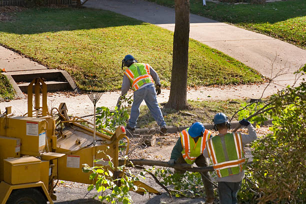 Best Lawn Watering Services  in Scottsboro, AL